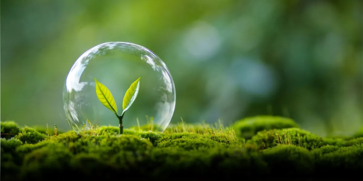 Sentinel México: Compromiso con la Digitalización y el Medio Ambiente