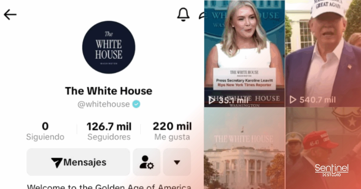 La imagen muestra una pantalla dividida: a la izquierda, el perfil de TikTok de Casa Blanca, con 126,7 millones de seguidores; a la derecha, las miniaturas de TikTok muestran a una mujer en un podio y a un hombre con un sombrero de "Make America Great Again".
